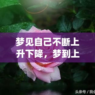 梦见自己不断上升下降，梦到上升然后极速下落 