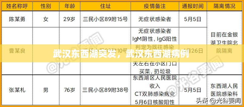 武汉东西湖突发，武汉东西湖病例 