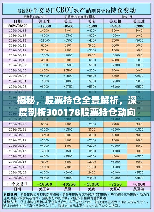 揭秘，股票持仓全景解析，深度剖析300178股票持仓动向