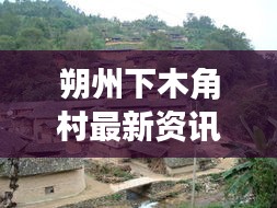 朔州下木角村最新资讯聚焦