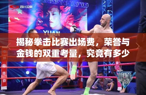 揭秘拳击比赛出场费，荣誉与金钱的双重考量，究竟有多少？